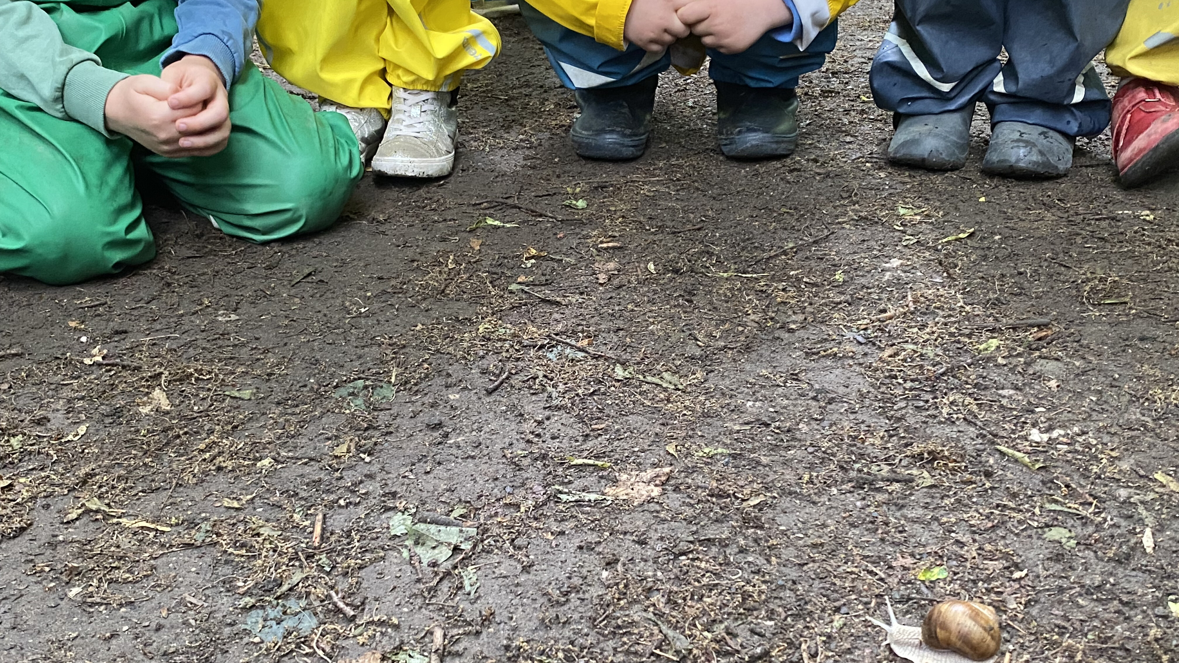 Zu sehen sind Füße von hockerlnden Kindern, die eine Schnecke beobachten